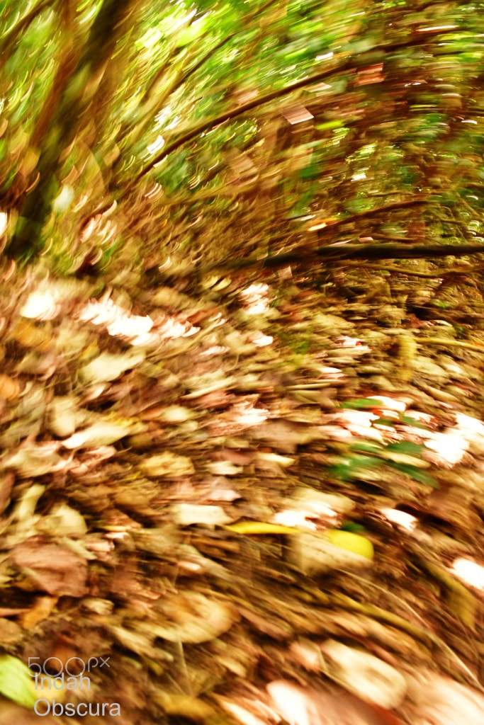 Nikon D500 sample photo. Ioi when the wind blows photography