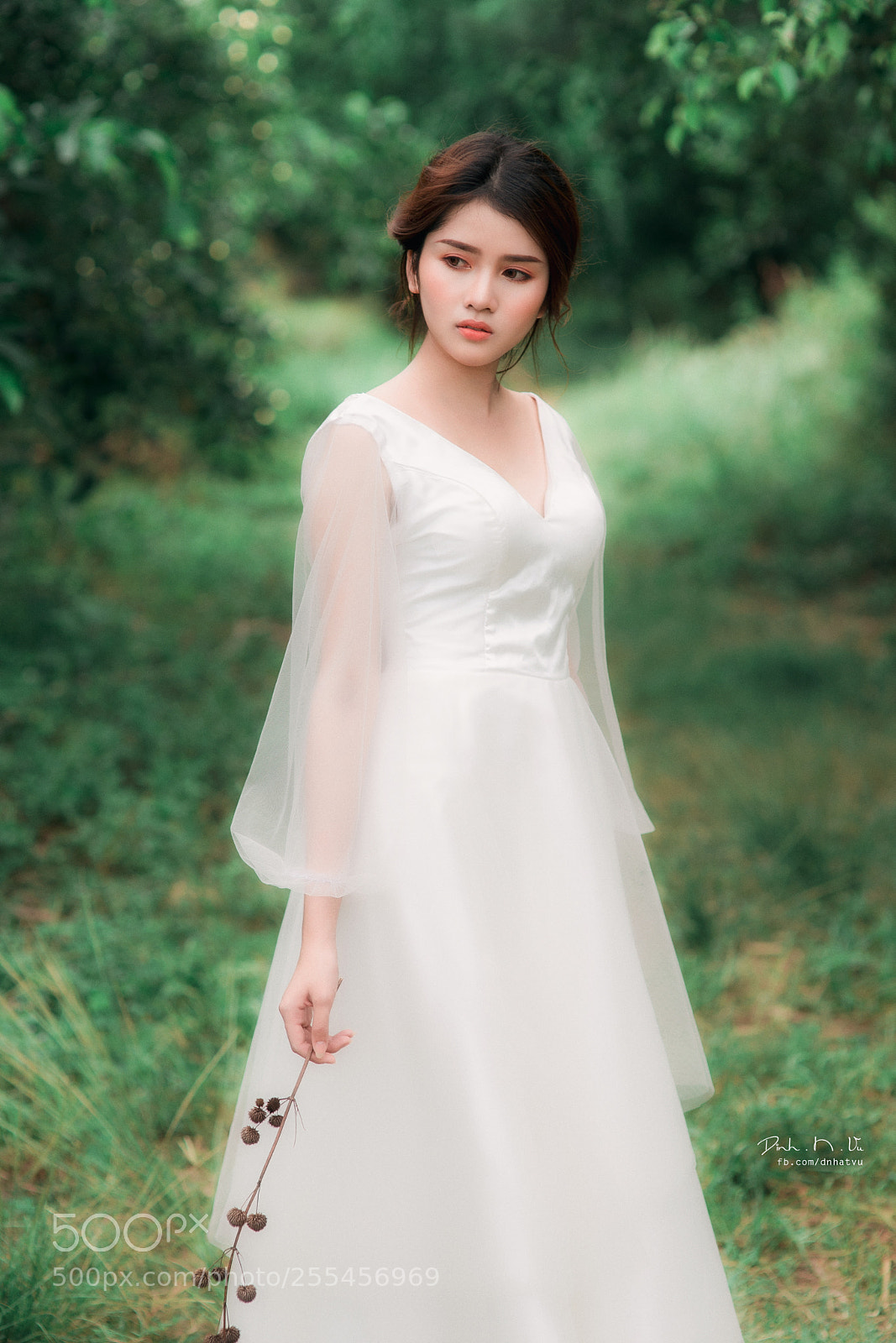 Nikon D610 sample photo. Dnv photography
