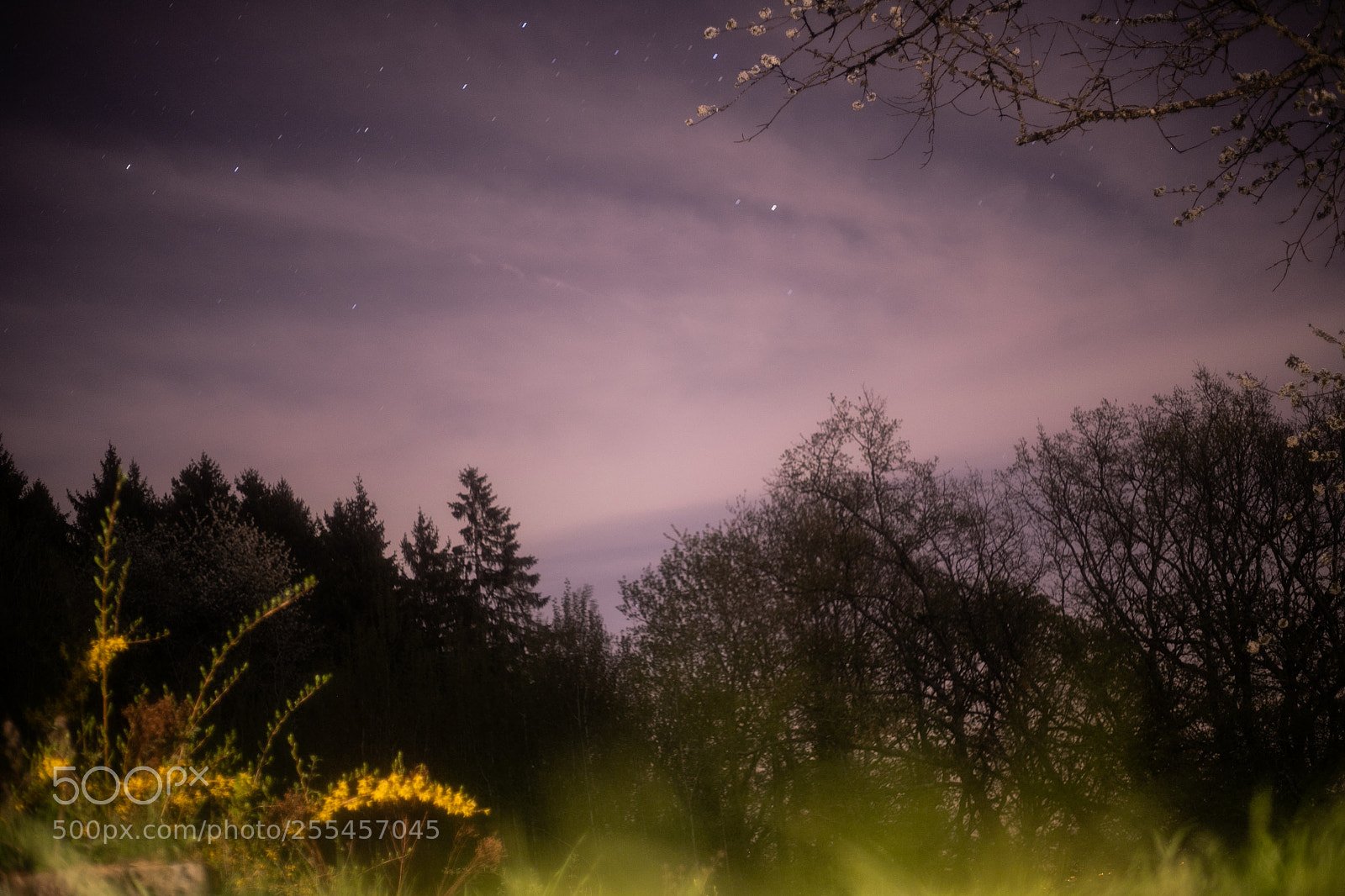 Canon EOS 6D Mark II sample photo. Stars photography