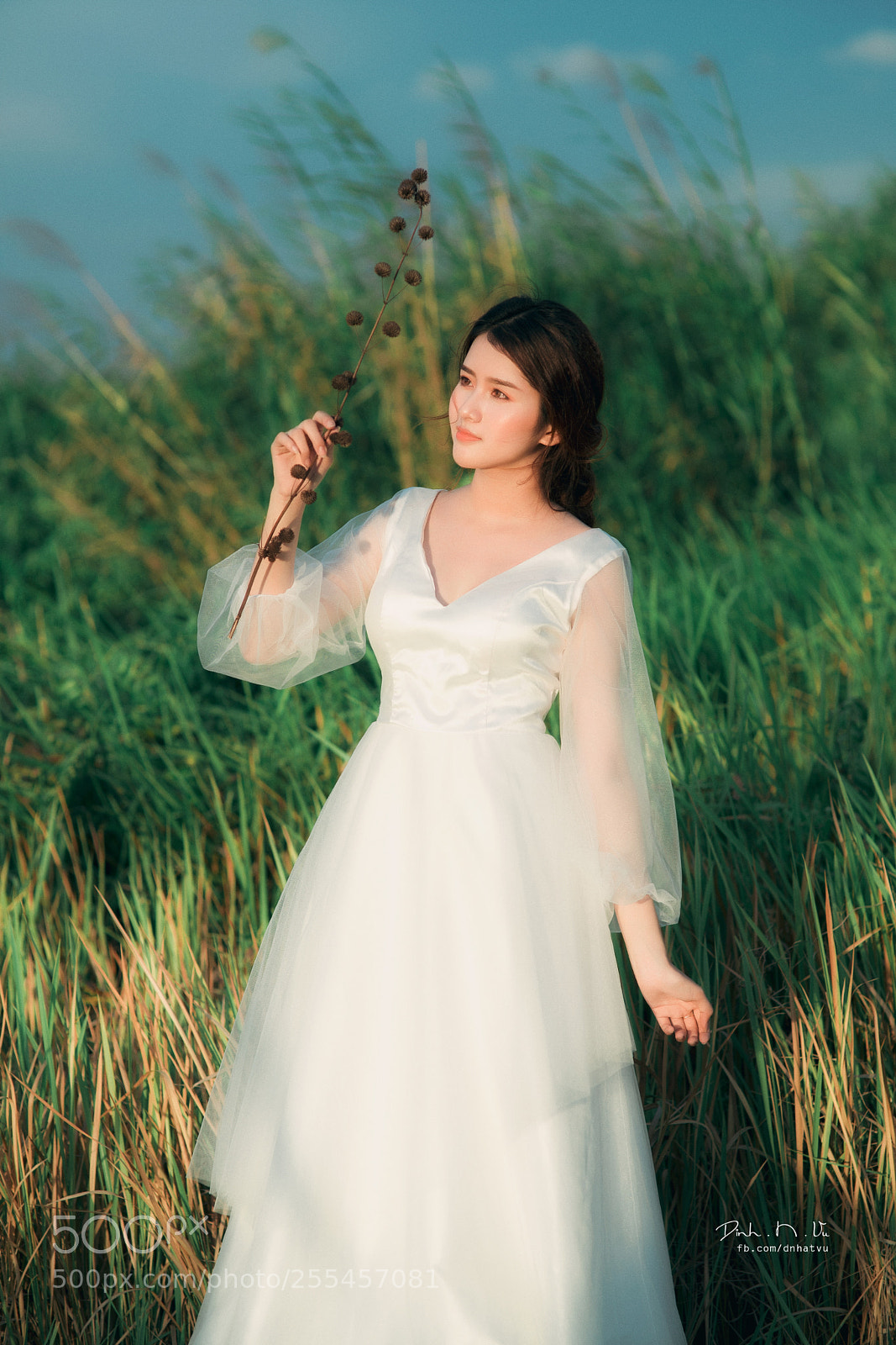 Nikon D610 sample photo. Dnv photography
