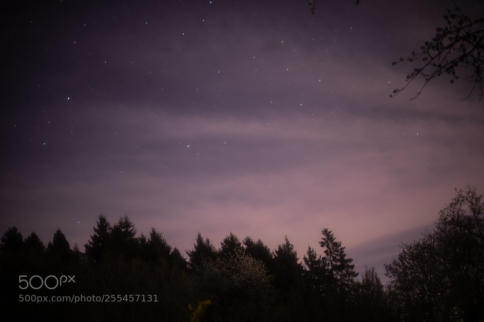 Canon EOS 6D Mark II sample photo. Stars photography