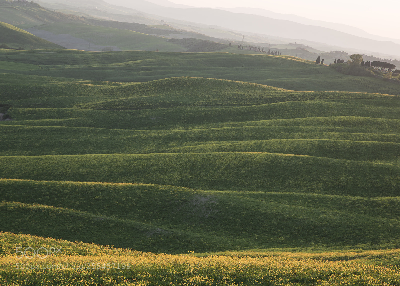 Canon EOS 6D sample photo. Countryside tuscan agricoltura photography