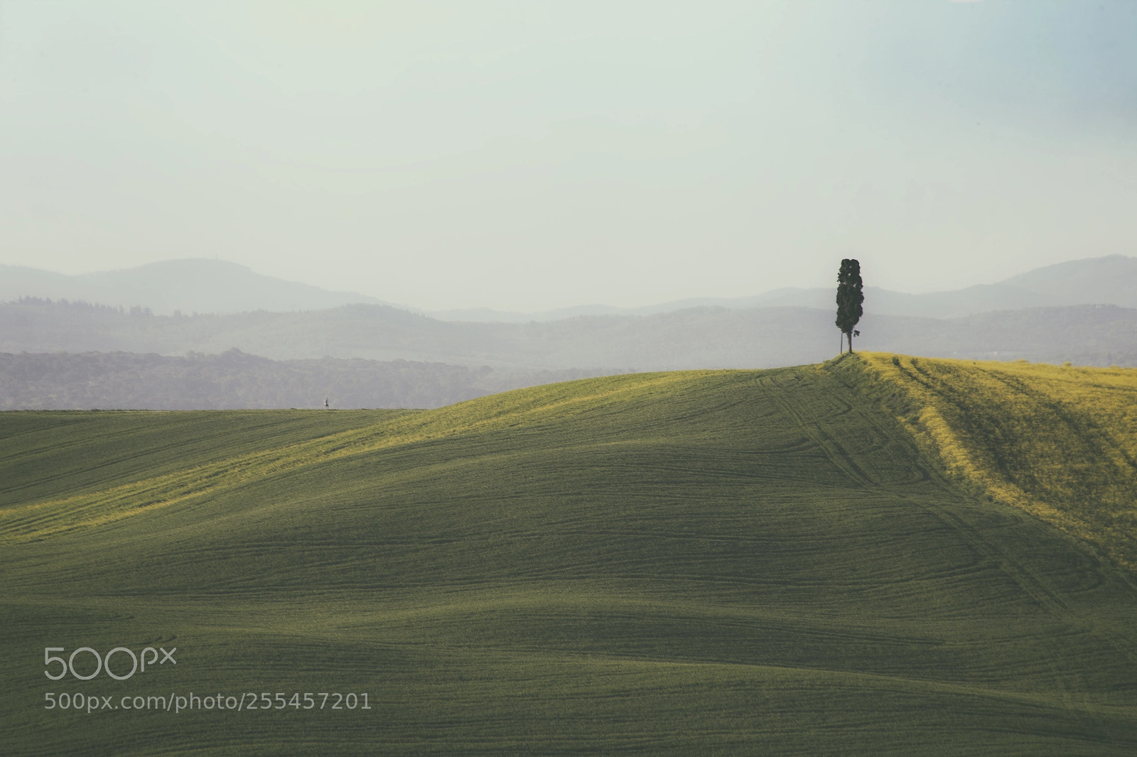 Canon EOS 6D sample photo. Countryside tuscan agricoltura photography