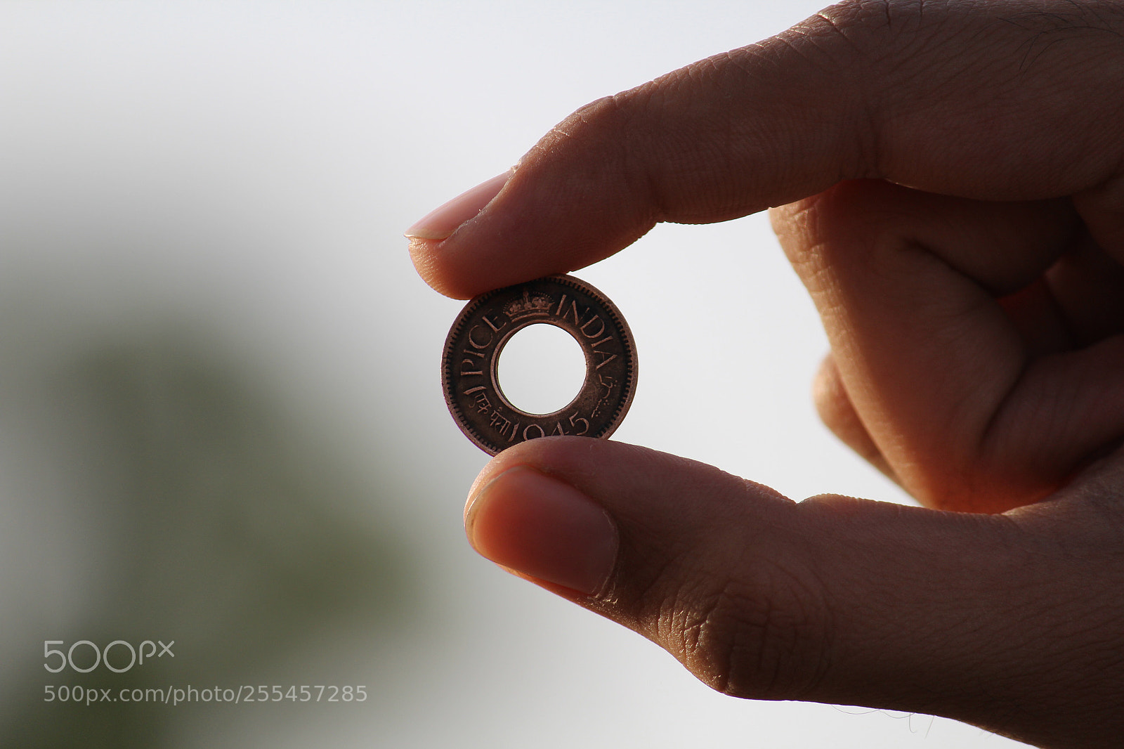 Canon EOS 1200D (EOS Rebel T5 / EOS Kiss X70 / EOS Hi) sample photo. Rare coin  photography