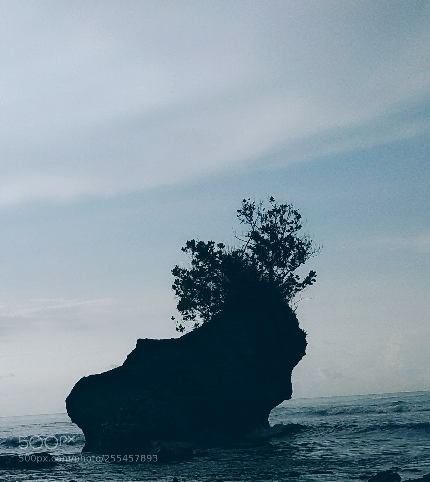Xiaomi Redmi Note 5A sample photo. Untitled photography