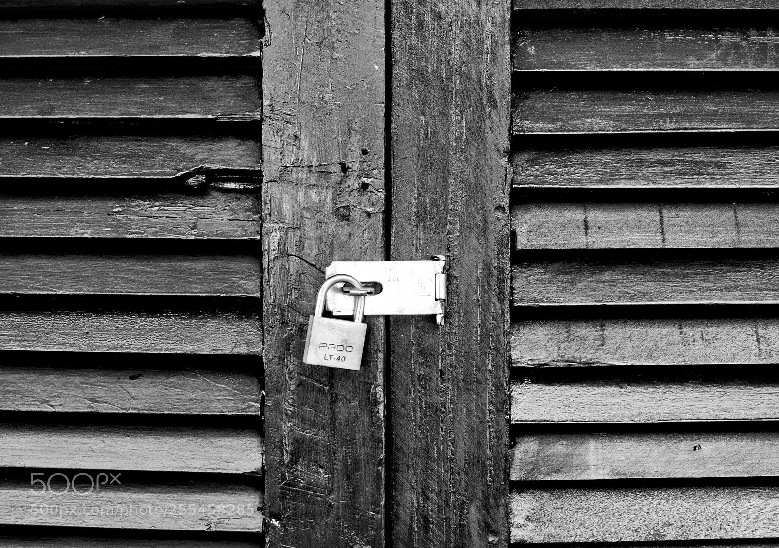 Nikon D610 sample photo. Locked window photography