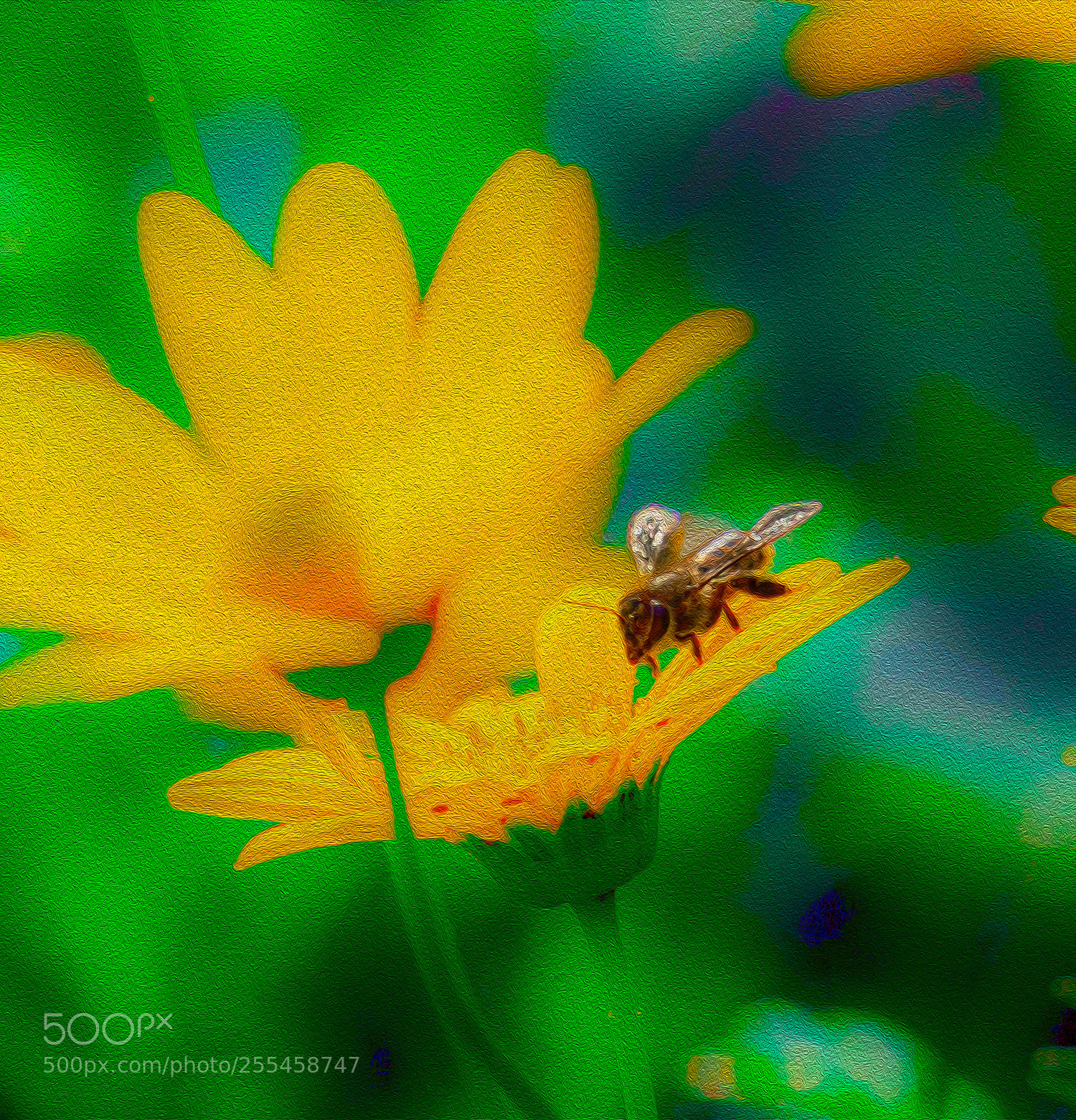 Sony a7R II sample photo. Bee photography