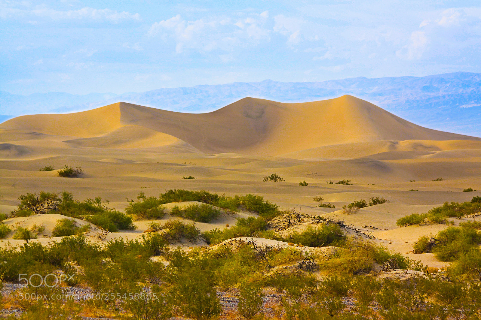 Canon EOS 50D sample photo. Mesquite flats sand dunes photography
