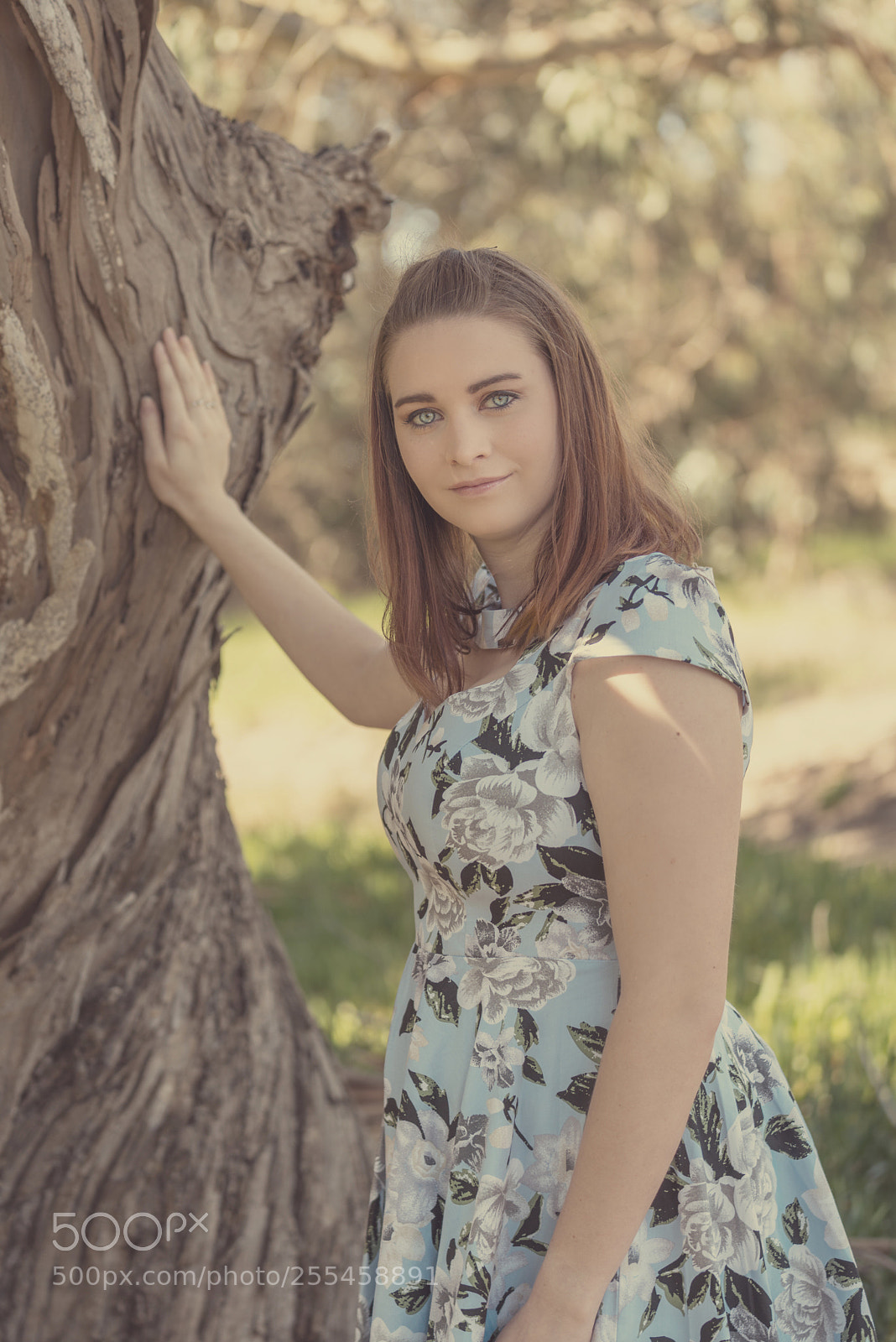 Sony a7R III sample photo. Vintage iv photography
