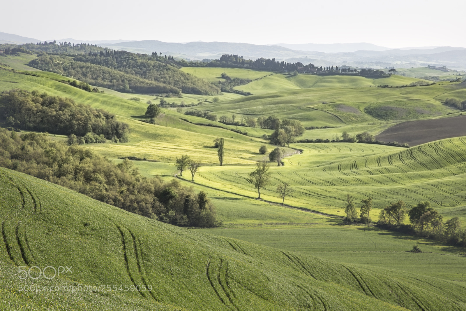 Canon EOS 6D sample photo. Countryside tuscan agricoltura photography