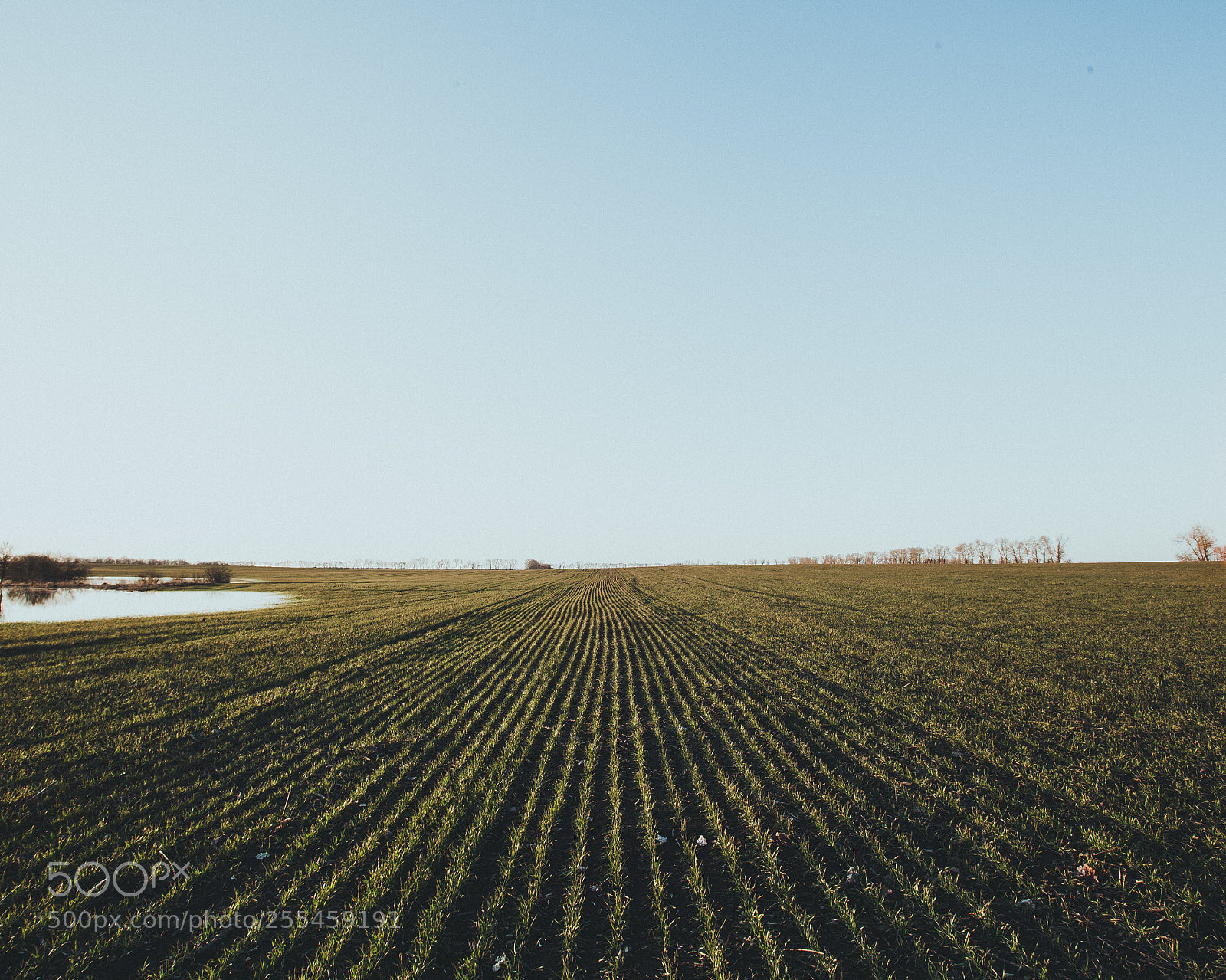 Canon EOS 5D Mark II sample photo. Sun not rise photography