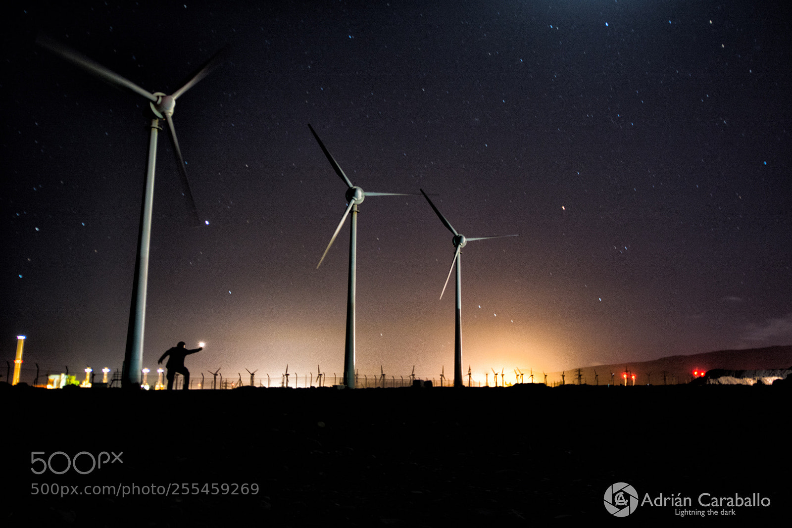 Nikon D7100 sample photo. Giants photography