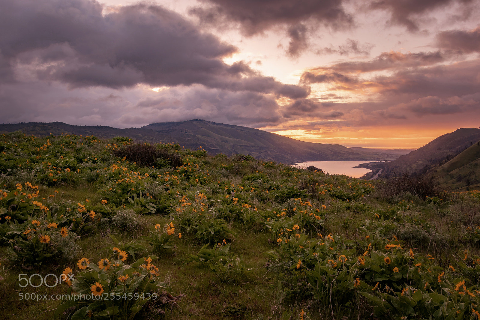 Canon EOS 7D Mark II sample photo. Columbia gorge sunrise photography