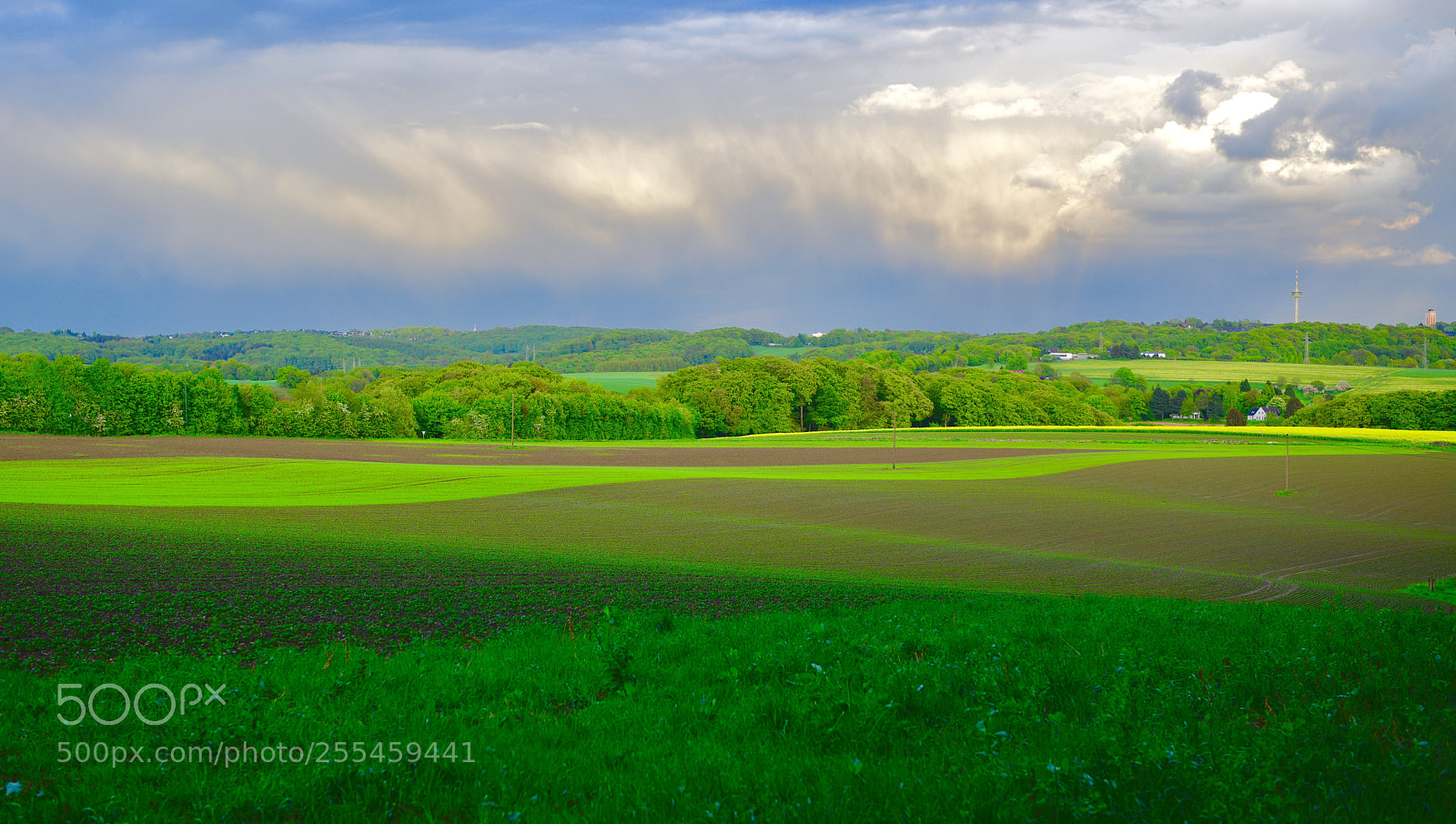 Nikon D850 sample photo. View on fields after photography