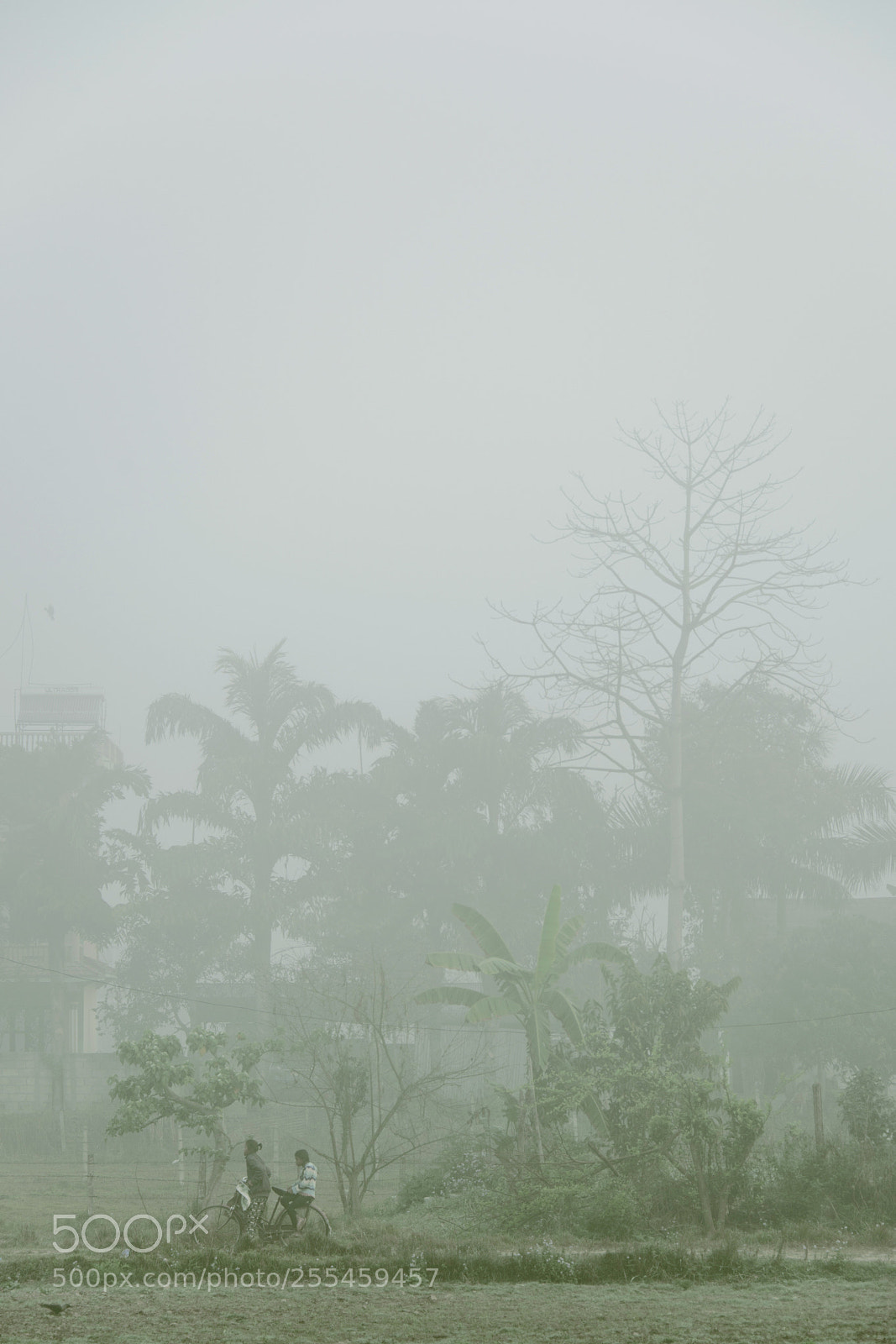 Nikon D610 sample photo. Morning photography