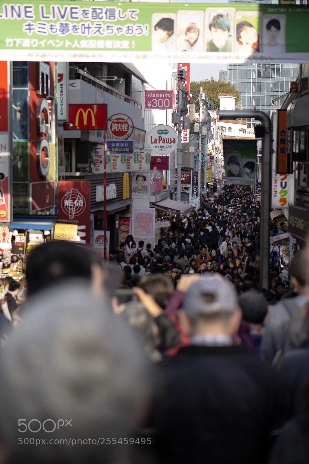 Sony a6000 sample photo. Focus→japan  photography