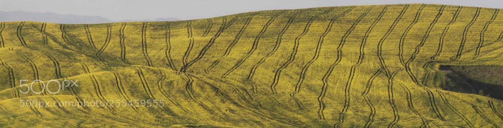 Canon EOS 6D sample photo. Countryside tuscan agricoltura photography