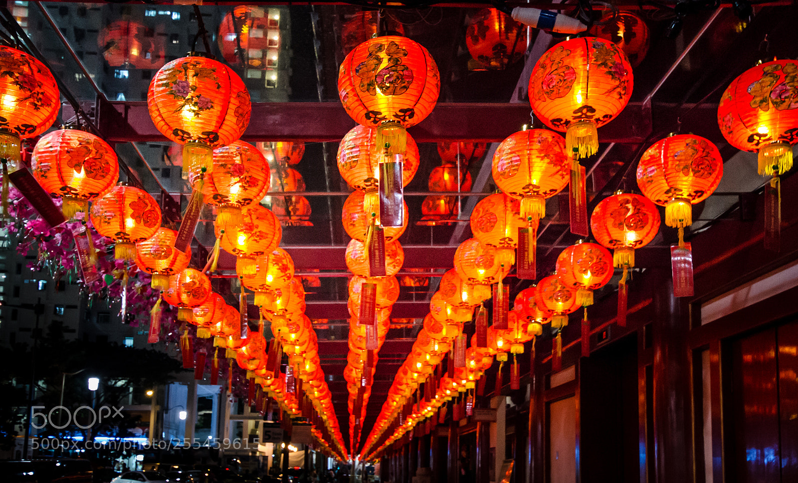 Nikon D7000 sample photo. Chinese new year in photography