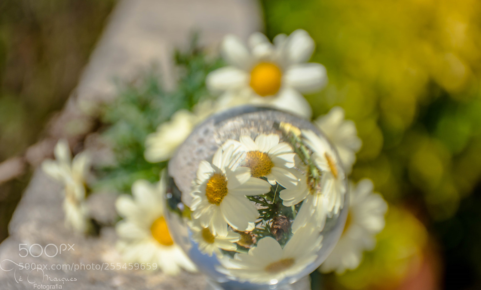 Nikon D7200 sample photo. Creative mode photography