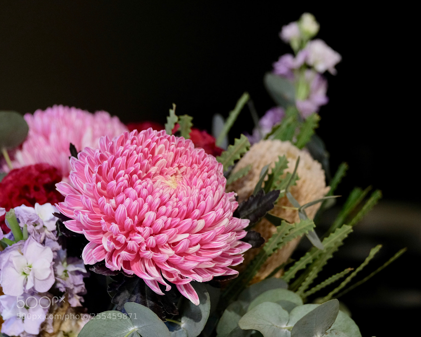 Fujifilm X-E3 sample photo. Natives photography