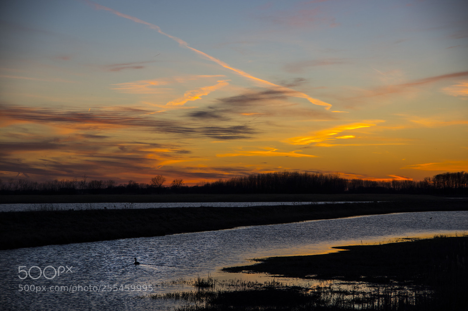 Pentax K-3 II sample photo. Springtime dusk photography