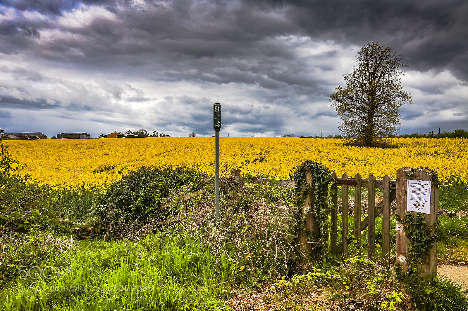 Canon EOS 6D sample photo. Gateway to the gold photography