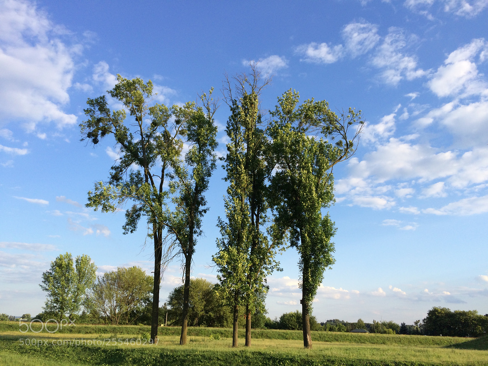 Apple iPhone 5s sample photo. Three photography