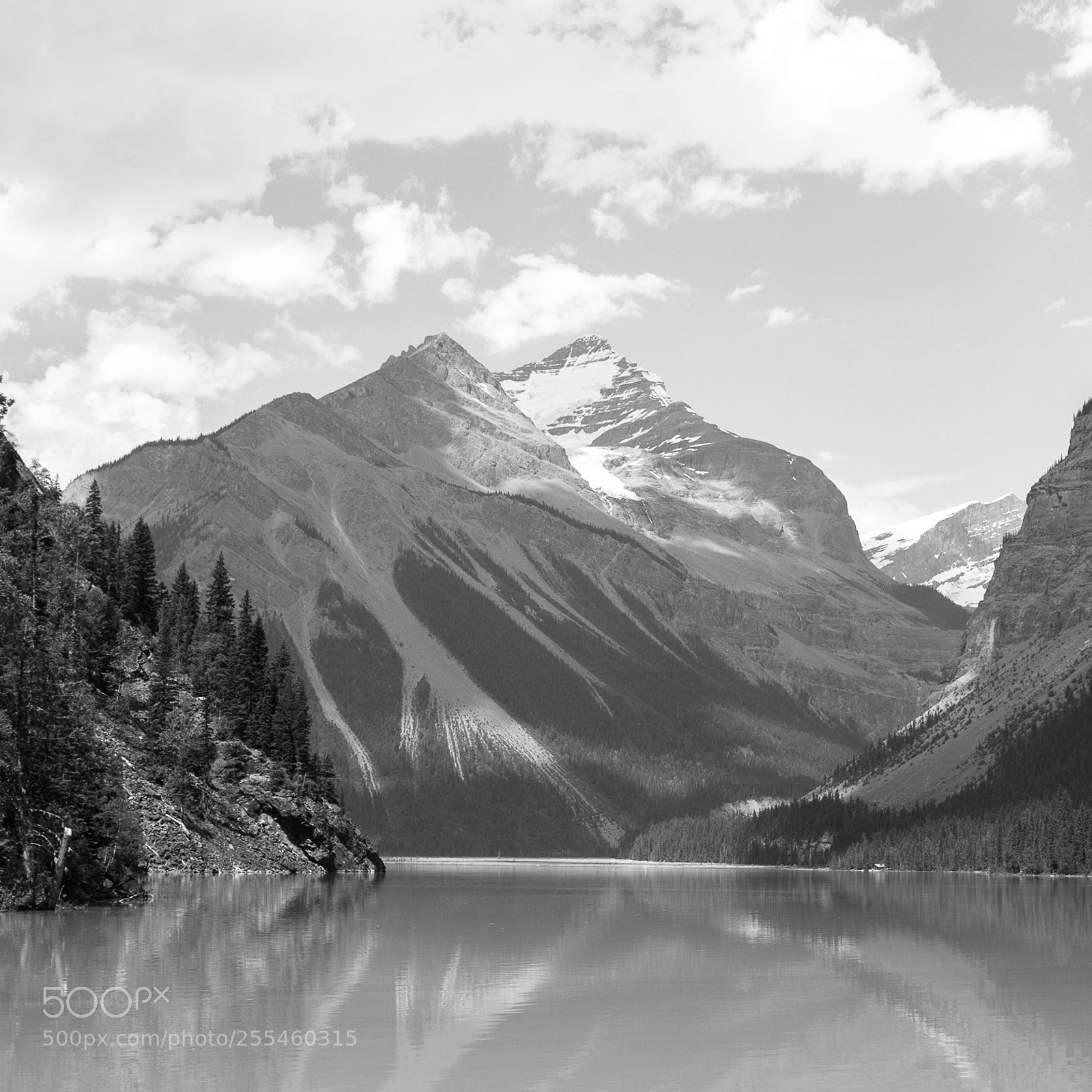 Canon EOS 760D (EOS Rebel T6s / EOS 8000D) sample photo. Whitehorn mountain from kinney photography
