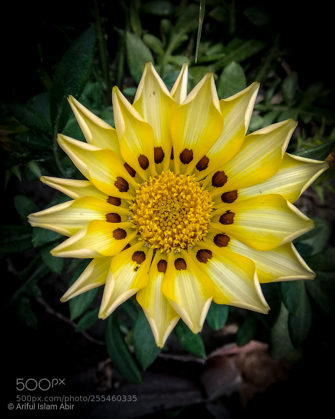 Xiaomi Redmi Note 4 sample photo. Untitled photography