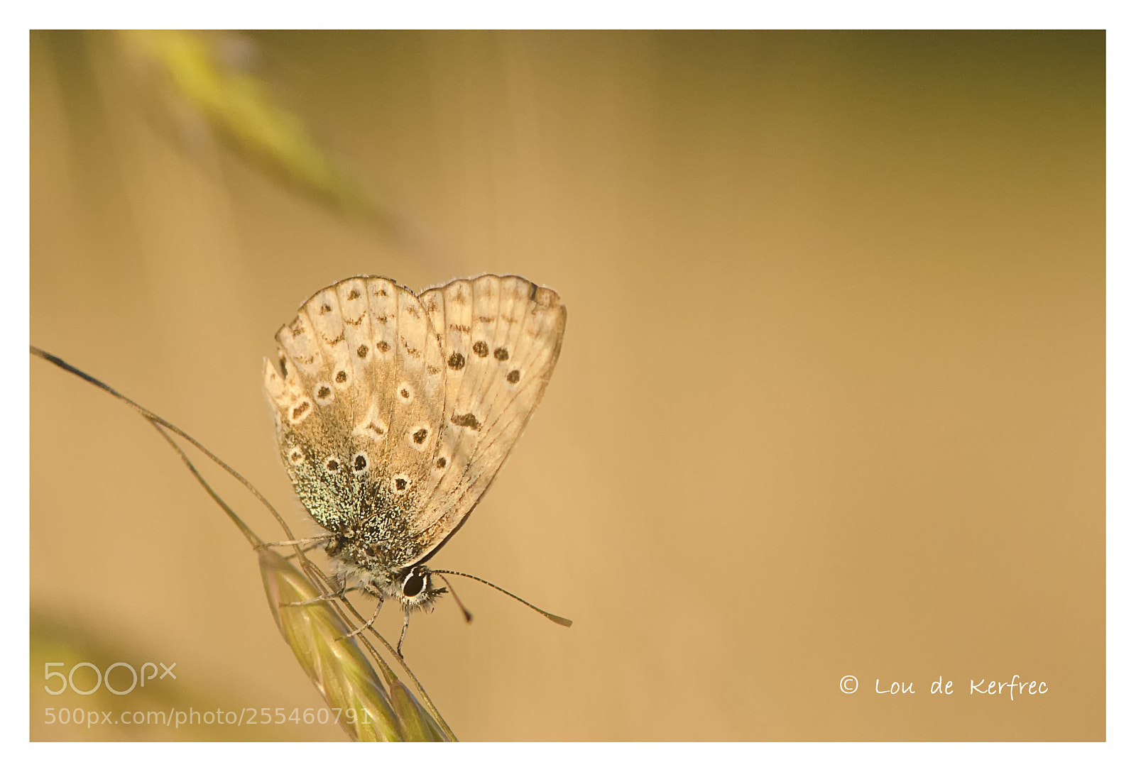 Nikon D7000 sample photo. Ton sur ton photography