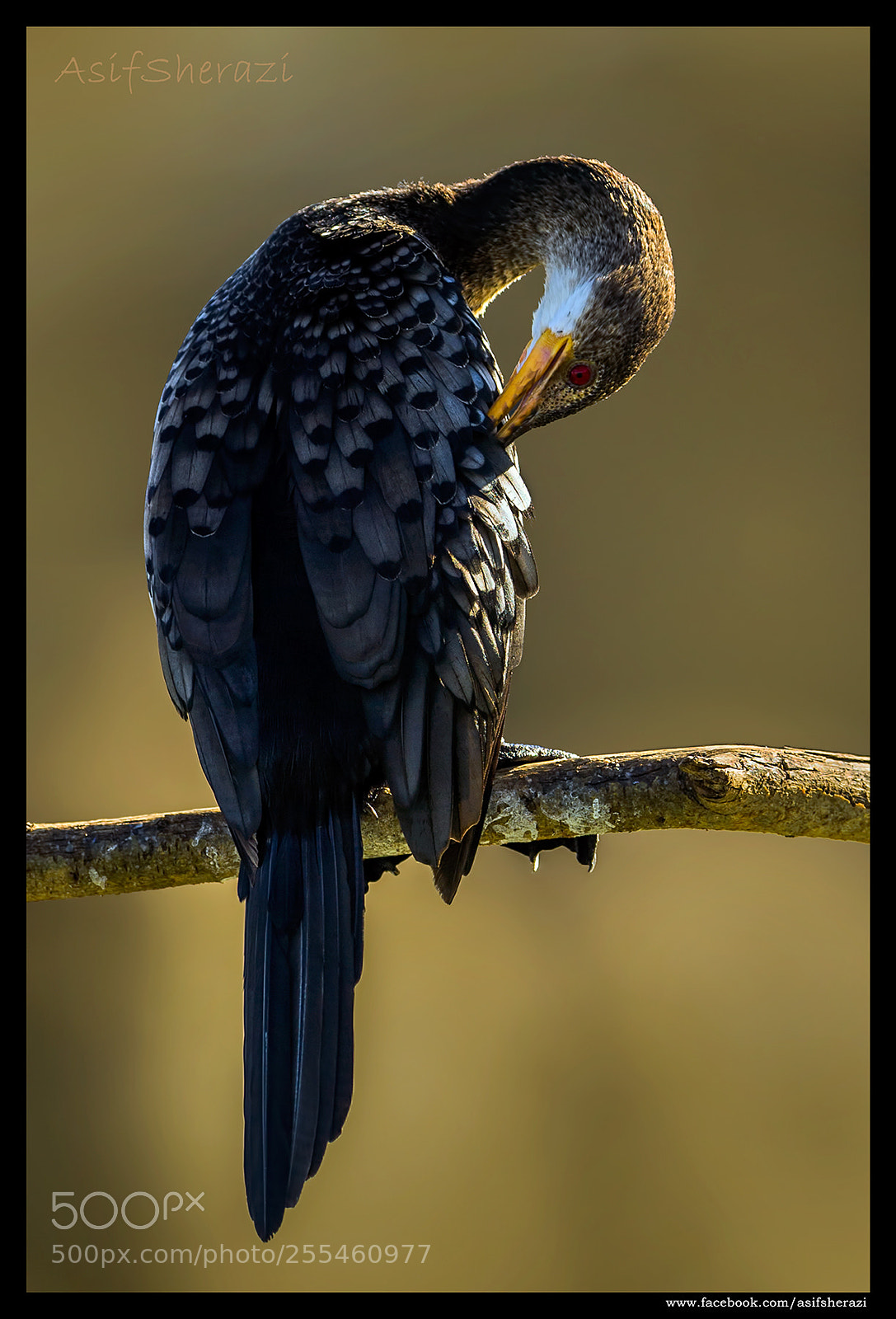 Nikon D5 sample photo. Beauty of the nature photography