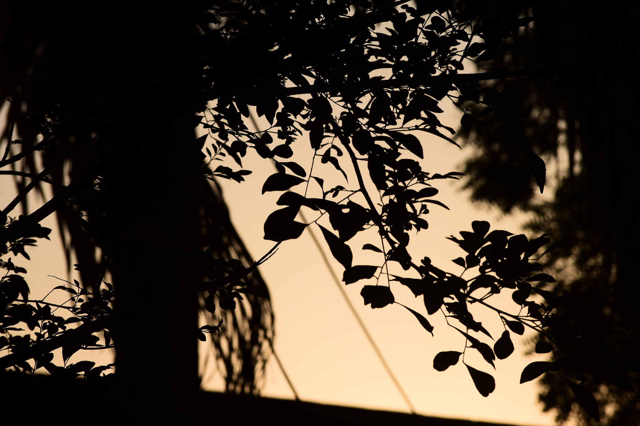 Nikon D3300 sample photo