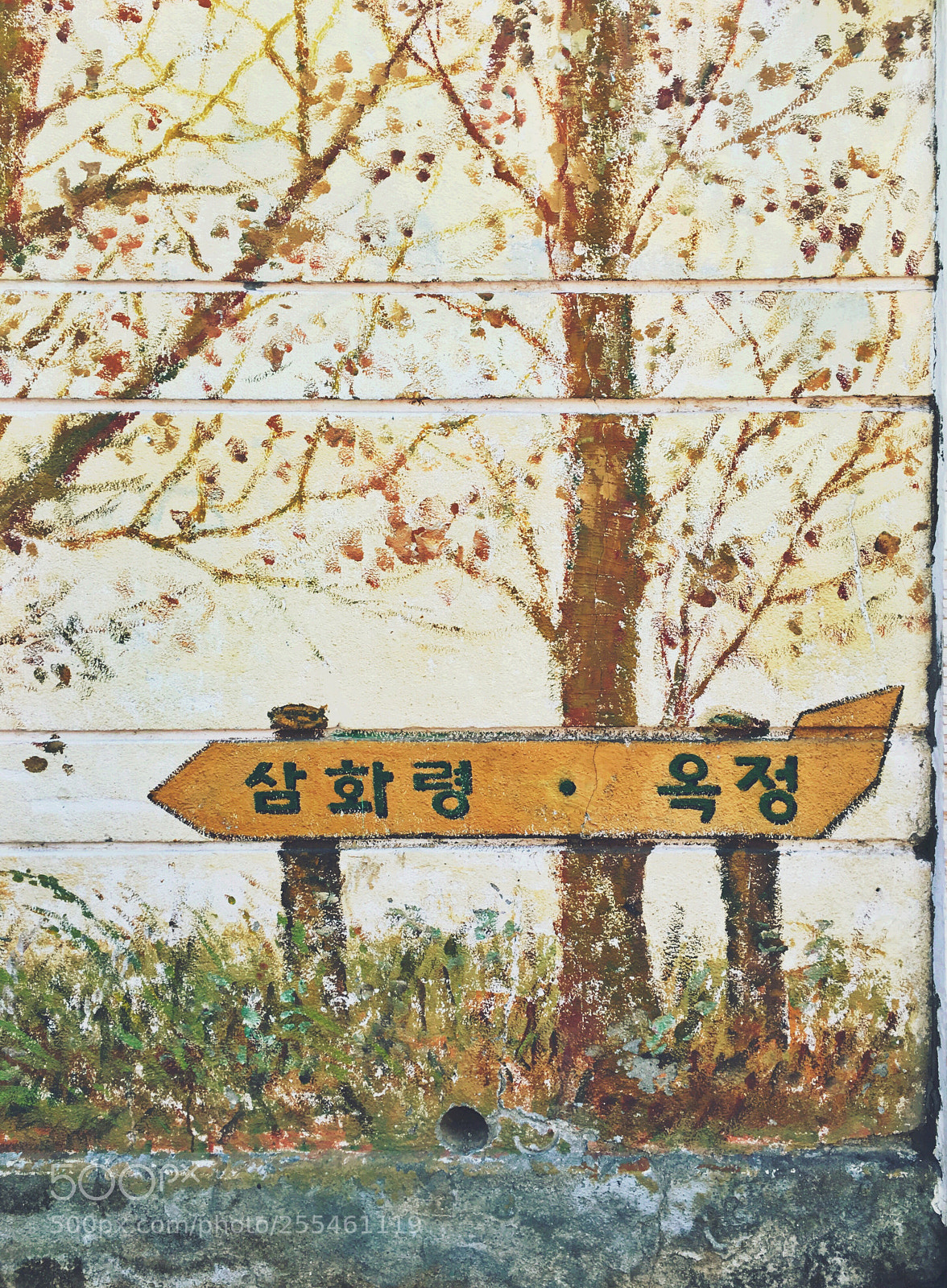 Apple iPhone 6s sample photo. 삼화령 · 옥정 photography