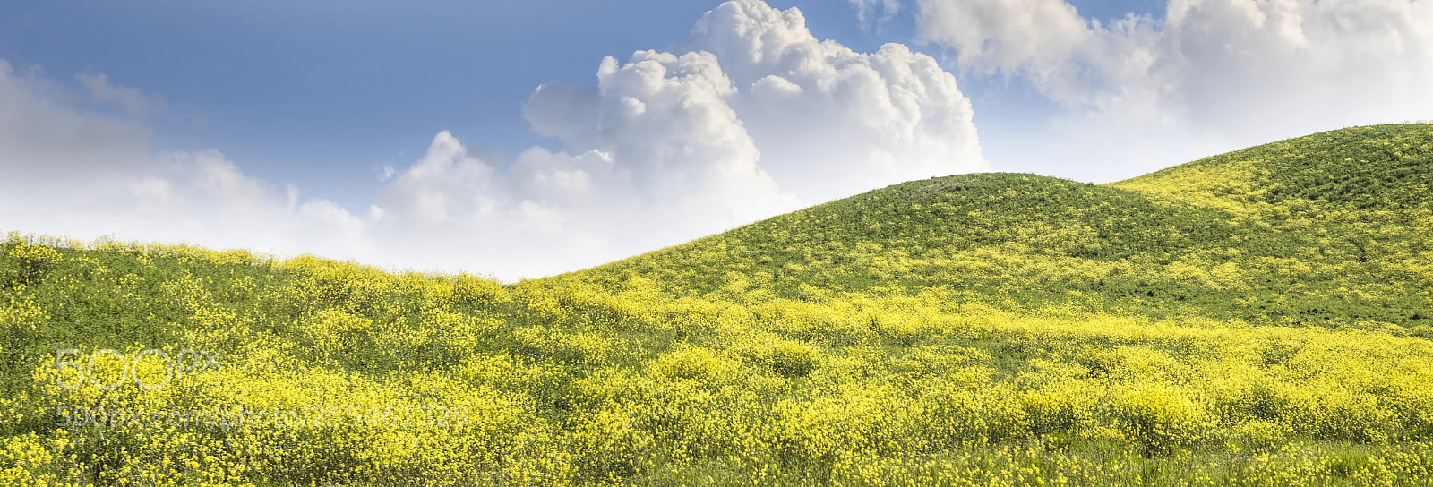 Canon EOS 6D sample photo. Countryside tuscan agricoltura photography