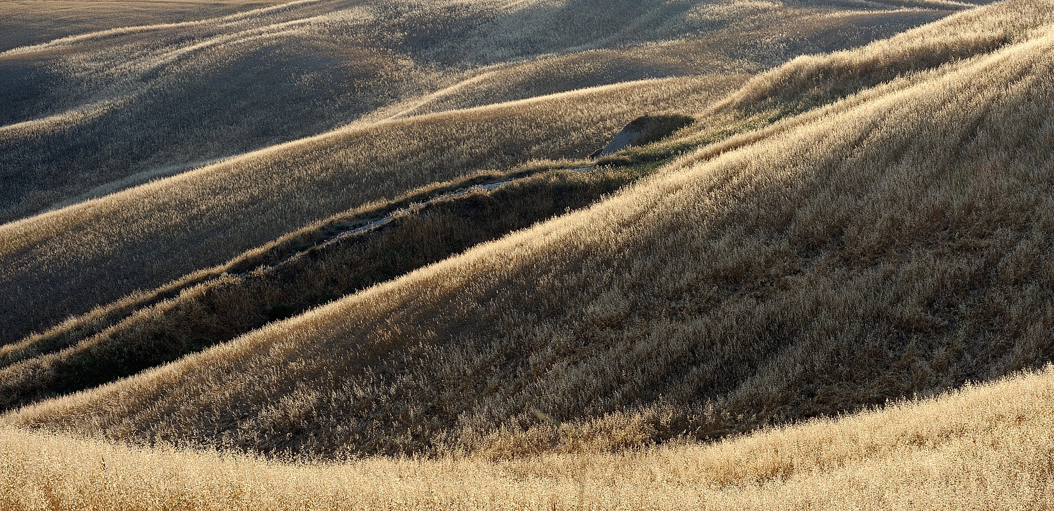 Nikon D700 sample photo. July and the rolling landscape of toscana photography