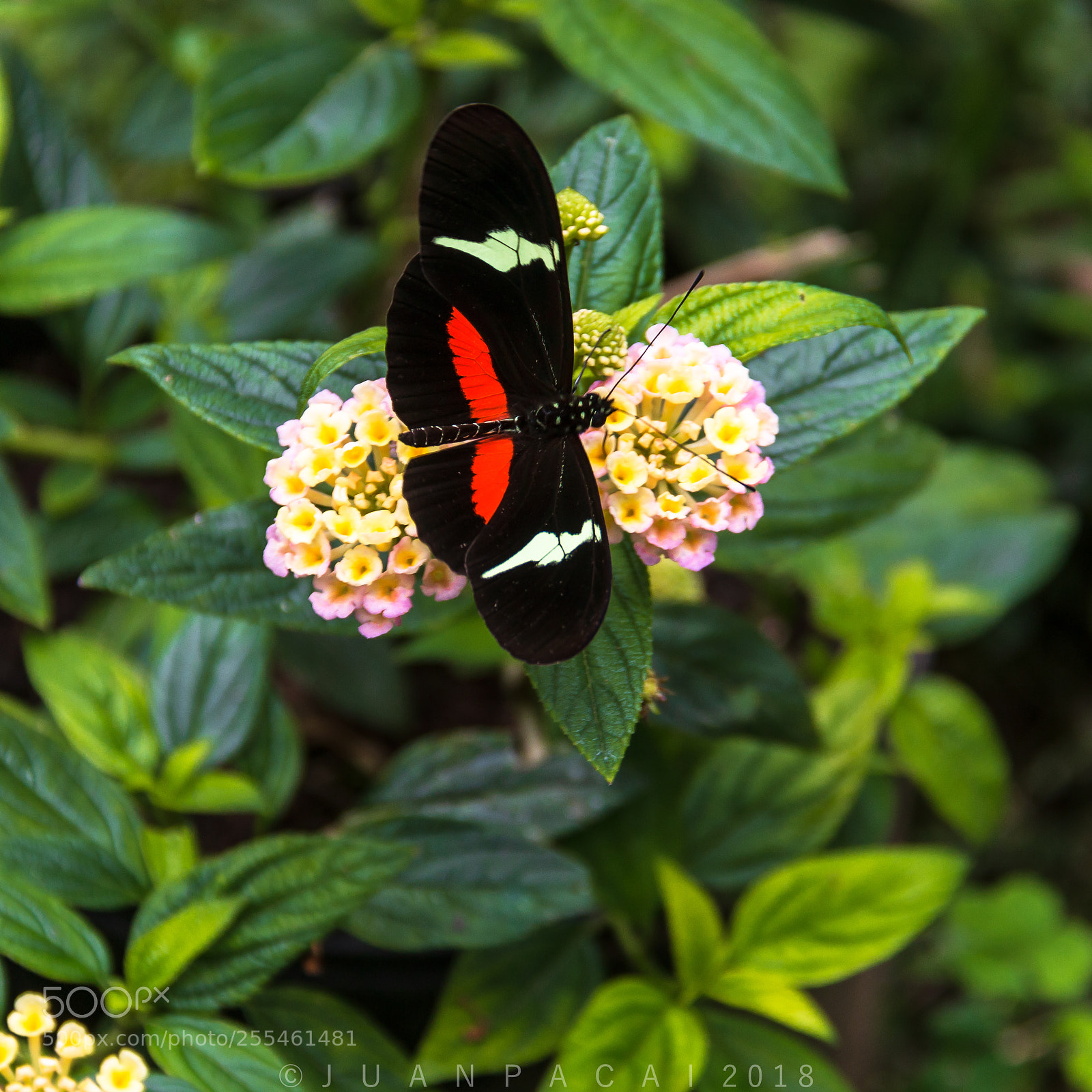Canon EOS 70D sample photo. Parque ecol gico piedras photography