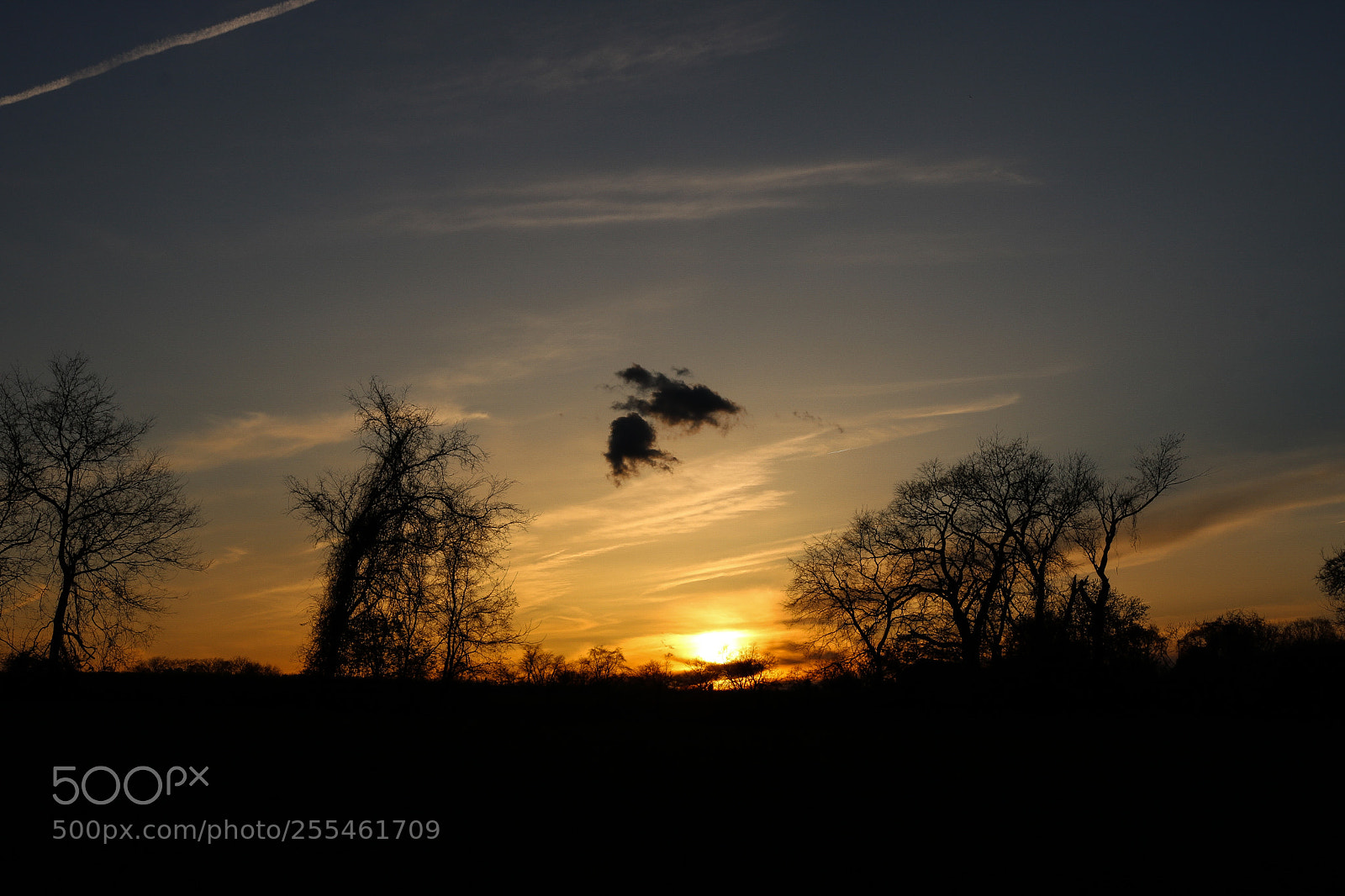 Canon EOS 750D (EOS Rebel T6i / EOS Kiss X8i) sample photo. End of the day photography