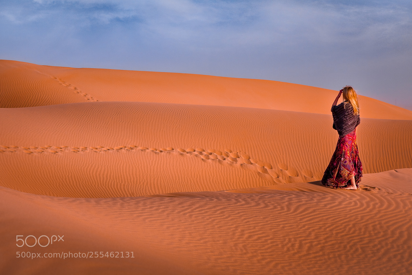 Canon EOS 5D Mark II sample photo. Footprints in the desert photography
