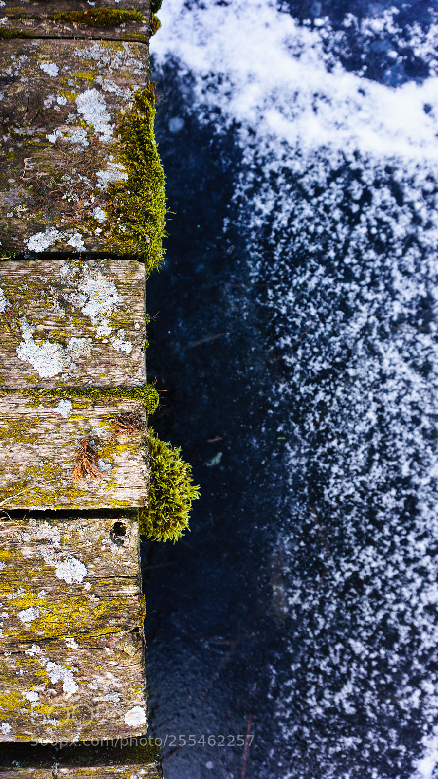 Sony a6000 sample photo. Lyskkär lake closeup photography