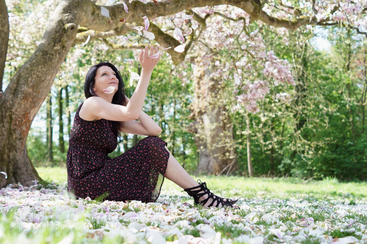 Sony ILCA-77M2 sample photo. Dana #3 photography
