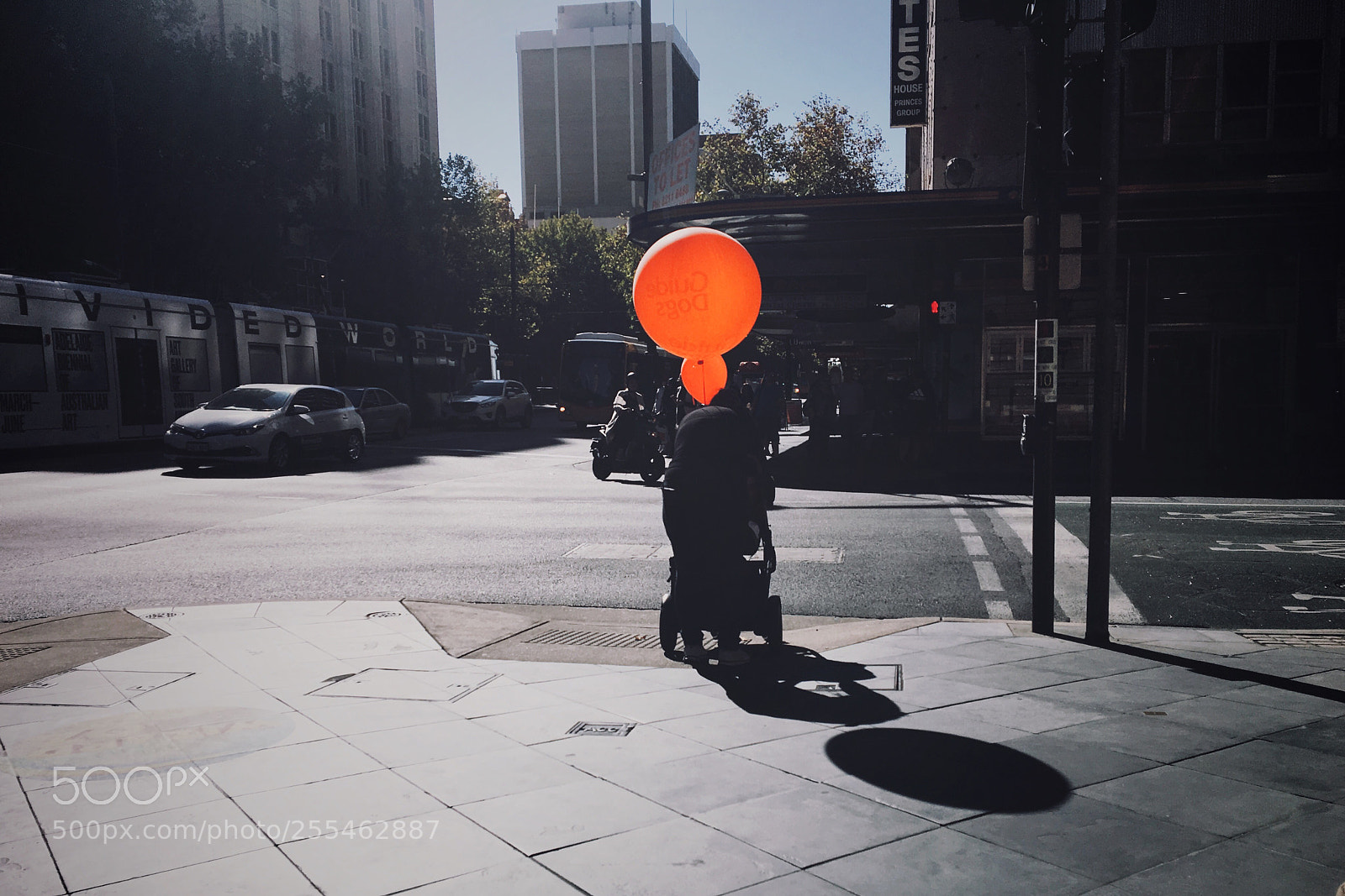 Apple iPhone 6s sample photo. Untitled photography