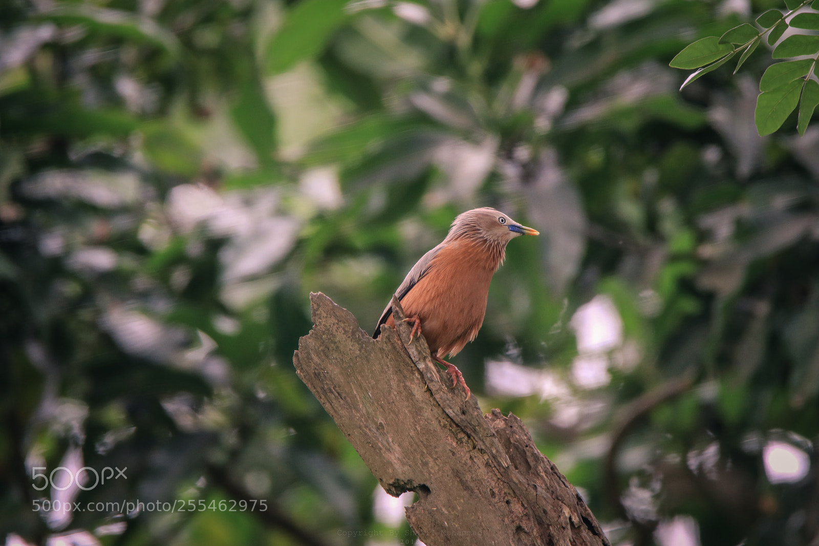 Canon EOS 80D sample photo. Untitled photography