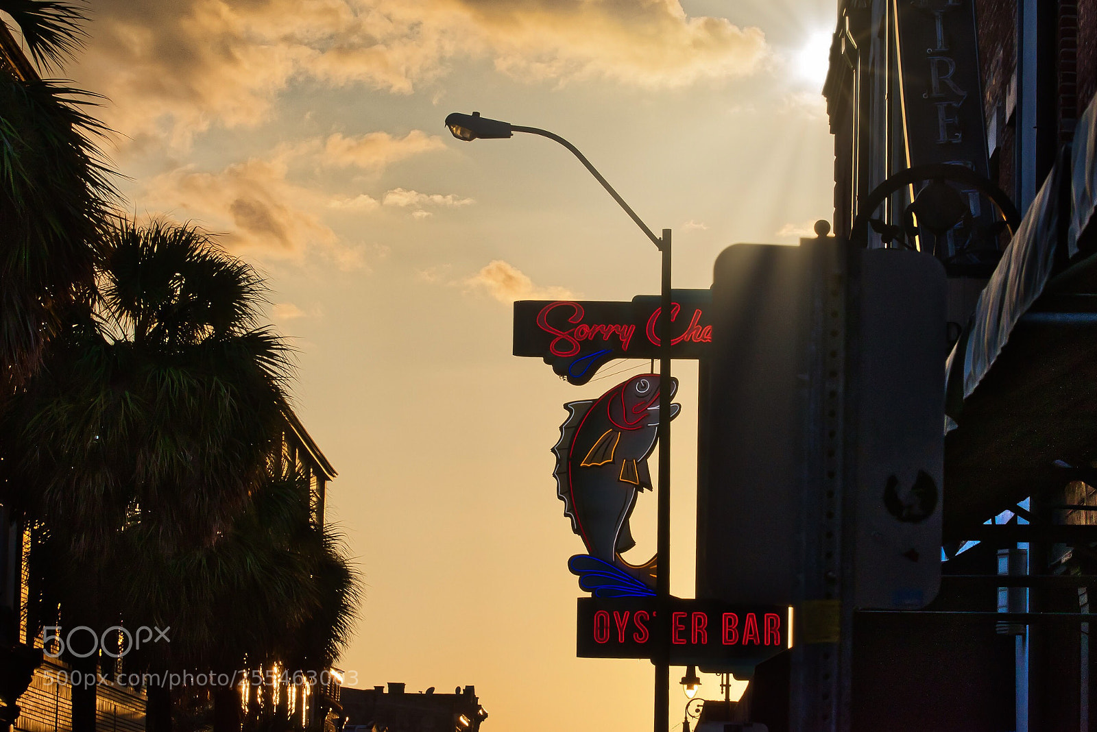 Nikon D5500 sample photo. Streets of savannah  photography