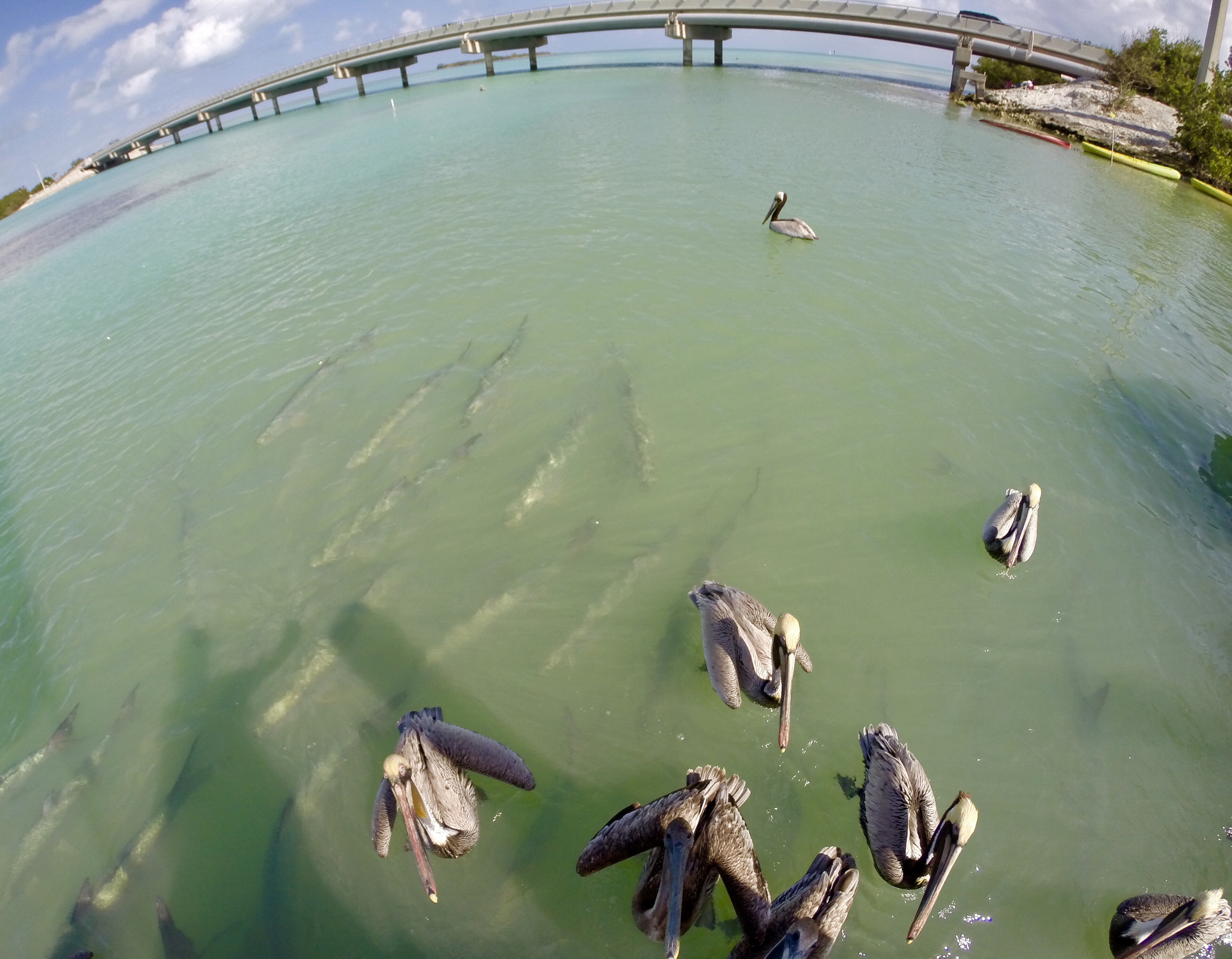 GoPro HERO3+ Black Edition sample photo