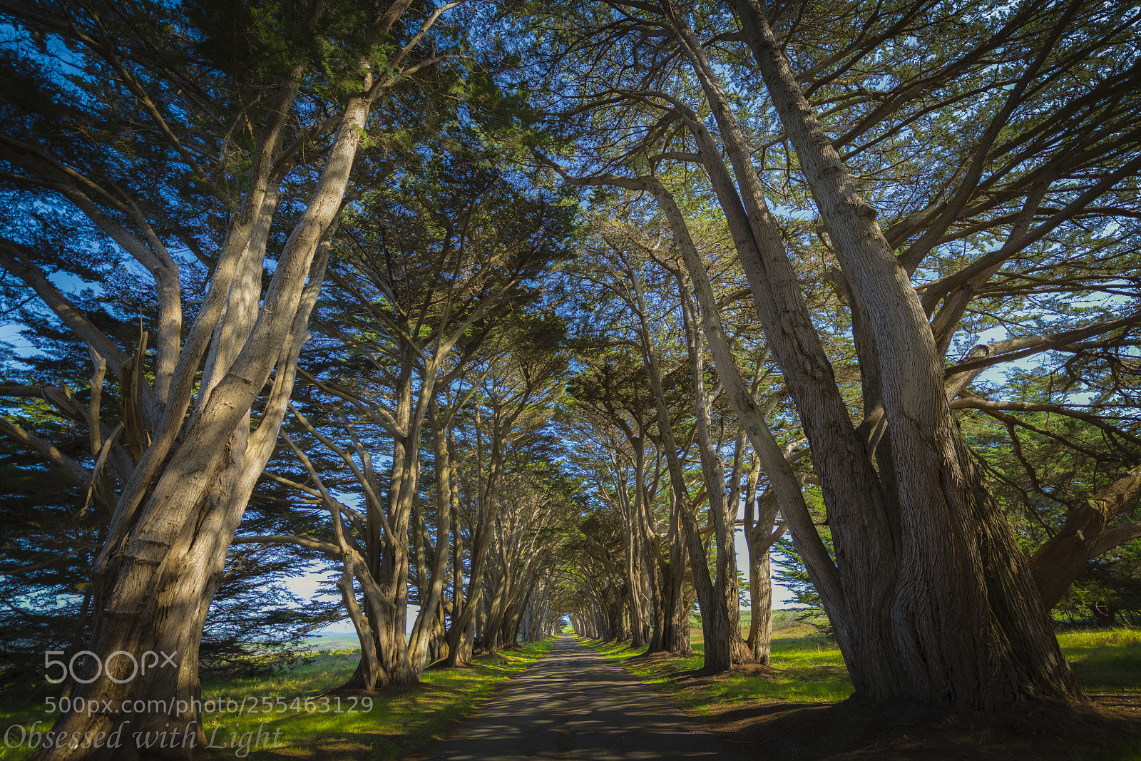 Nikon D850 sample photo. Recovered photography