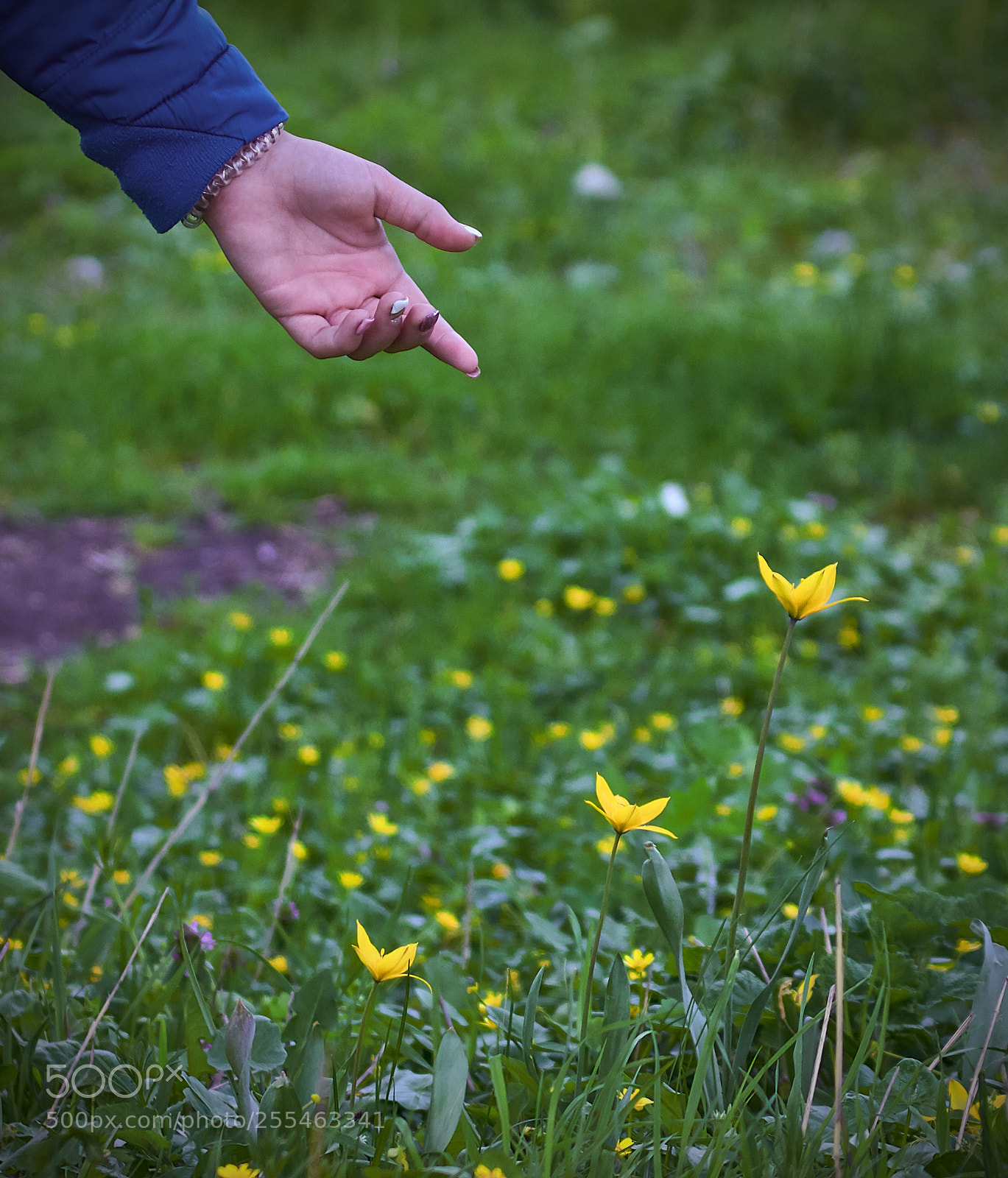 Canon EOS 650D (EOS Rebel T4i / EOS Kiss X6i) sample photo. Spring photography