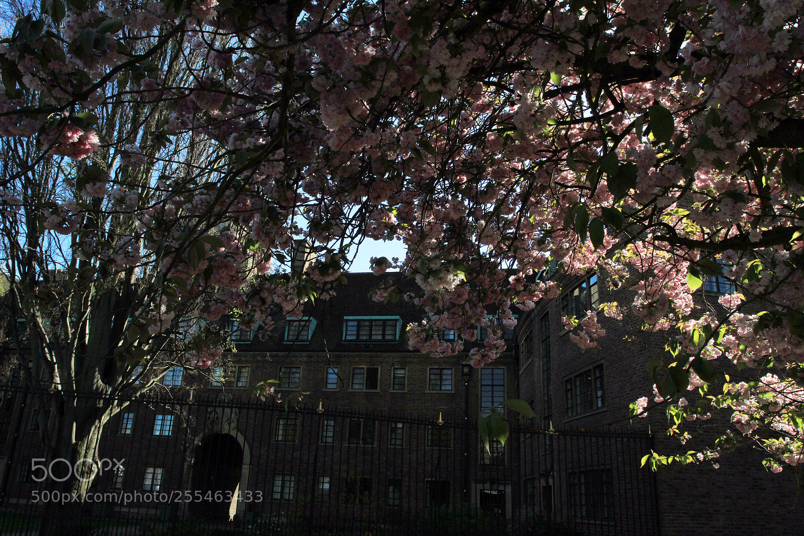 Canon EOS 7D sample photo. Cambridge & the colleges photography