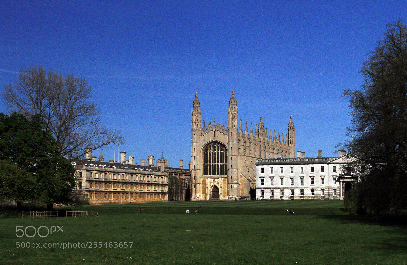 Canon EOS 7D sample photo. Cambridge & the colleges photography