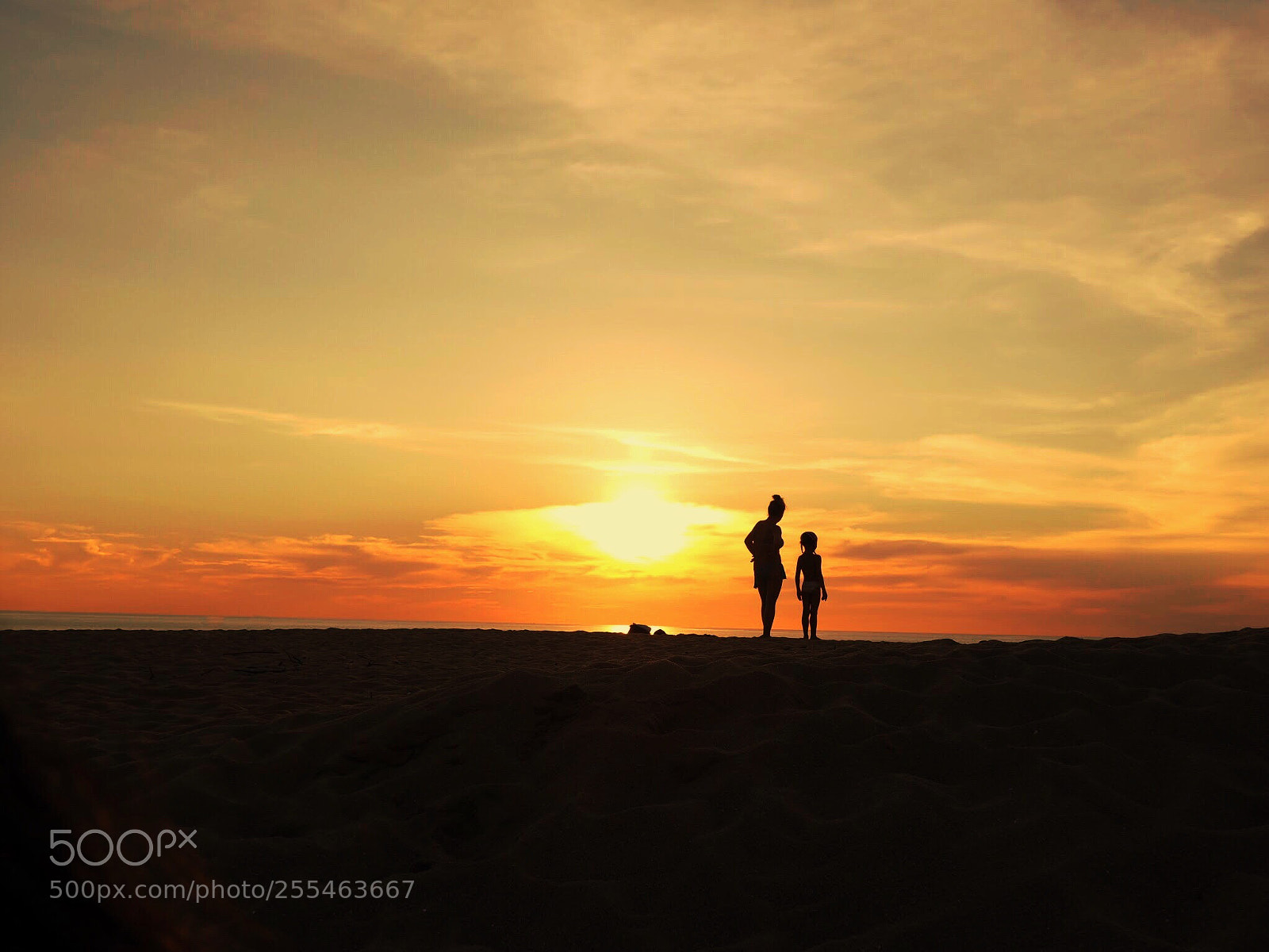Olympus OM-D E-M1 sample photo. Last light photography