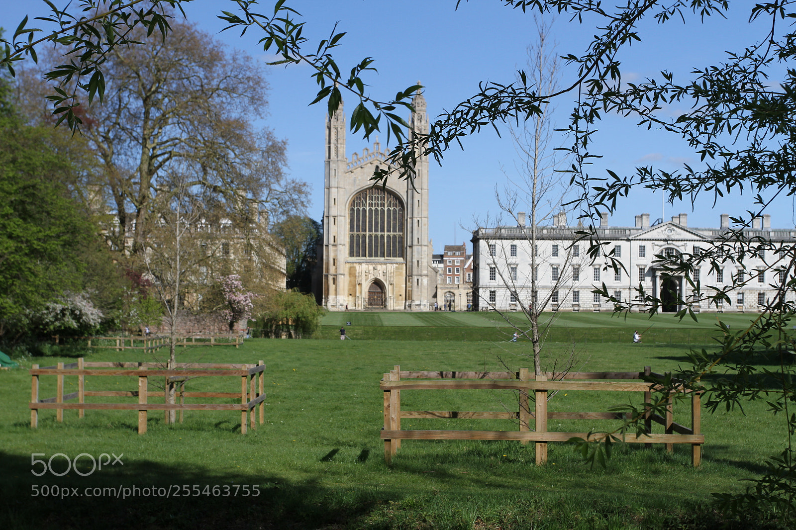 Canon EOS 7D sample photo. Cambridge & the colleges photography